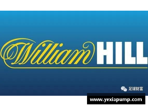 英国威廉希尔williamhill官方网站IMF数据揭示：人民币外汇储备再创新高，全球外汇市场地位进一步巩固 - 副本